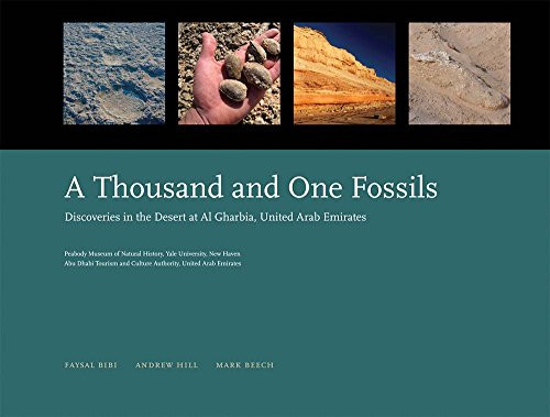 Thousand and one - one, fossils