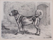 Johann Adam Klein Romantik