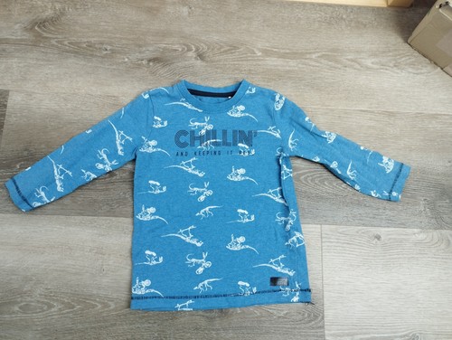 Langarmshirt dinosaurier - langarmshirt,