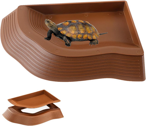Wasserschale schildkröten - wasserschale,