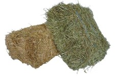 10kg stroh heu - 10kg, +