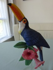 Franklin Mint Porzellan Tukan