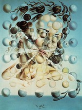 Salvador Dali Galatea der