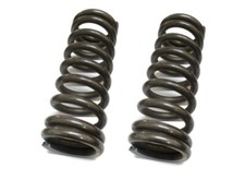 Paar Feder Hinten Druckfeder