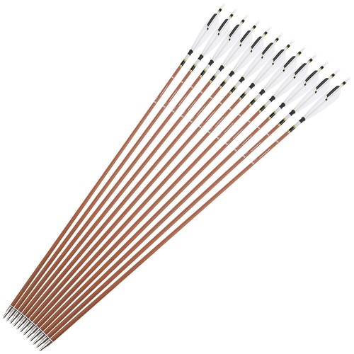 12x carbonpfeile sp340 600 - 31", sp340-600