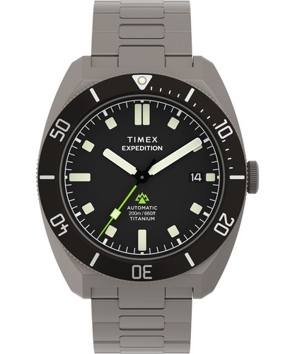 Timex expedition pioneer grau - timex,