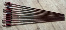 11 Carbonpfeile Spiderbows Raven One Spine 600 - 3 Zoll Federn
