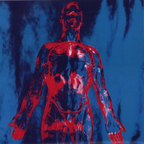 Nirvana sliver dive vinyl - nirvana,