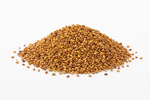 Luzerne saatgut - luzerne, kg