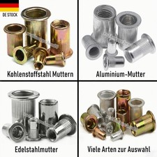 100X Nietmuttern