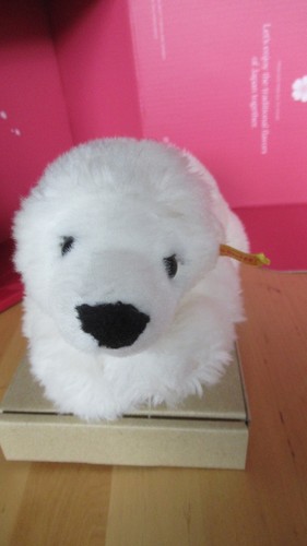 Steiff eisbär liegend f - eisbär, k/f
