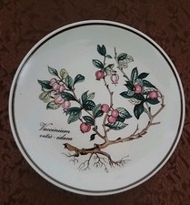 Villeroy boch botanica - villeroy,