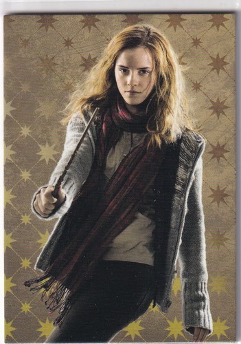 Panini harry potter evolution - potter,