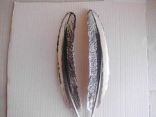 2 braun-weisse Pfauenfedern 