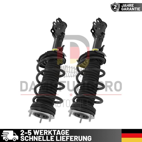 Komplett stoßdämpfer - 2x,