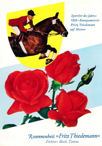 Fritz thiedemann - fritz, (†2000)