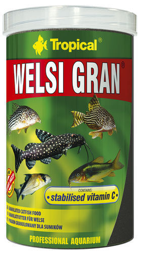 Tropical welsi gran - gran, granulat