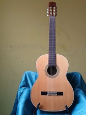 Takamine Gitarre C128