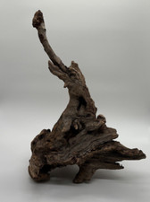 Skulptur Holz Wurzel Höhe