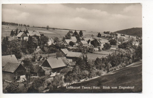 3701 tanne harz - /,