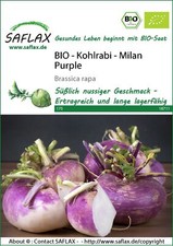 Saflax 18711 Kohlrabi Milan Purple (Bio-Kohlrabisamen)
