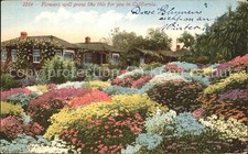 Glendale California Blumengarten