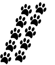 20 Stück Hundepfoten Katzenpfoten Pfoten Aufkleber Maße: 3 cm x 3 cm  AN67