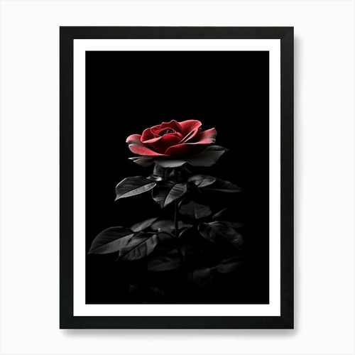 Schwarze rose kunstdruck - 15,