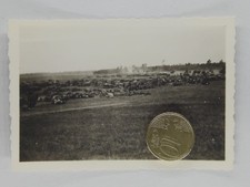 Foto Wehrmacht Fahrzeuge sammeln sich auf Wiese
