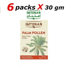 Imtenan Dattel palme