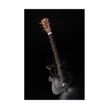 Johnson Resonatorgitarre JR