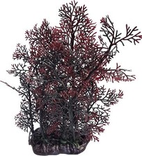 aquariumH2o Rotfarn Aquarium