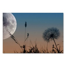 Postereck 0934 Poster Leinwand