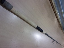 FENWICK EAGLE Inshore SPINNING