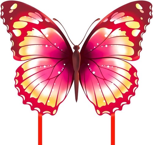 Mint colorful life - mint's,