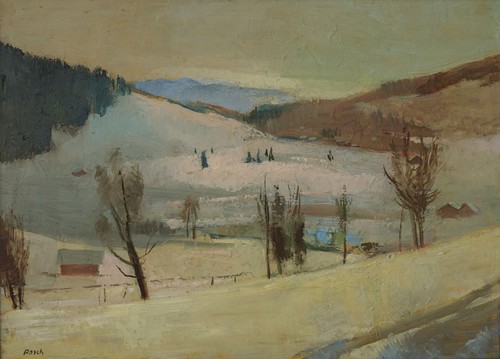 Odenwald landschaft winter - landschaft,