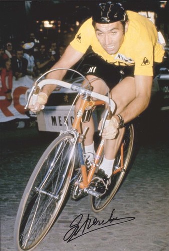 Eddy merckx original - merckx,