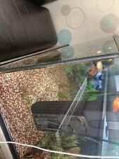 Aquarium 720l komplett 