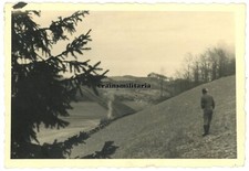 Orig. Foto RAD-Abteilung 6/314