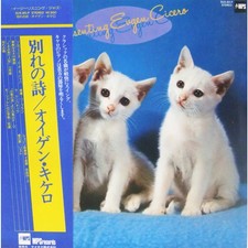 Eugen Cicero - Presenting