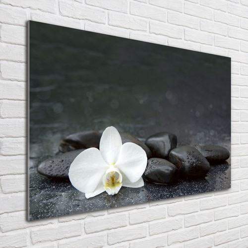 Glas bild wandbilder druck auf - wandbilder,