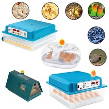 Brutmaschine Brutkasten