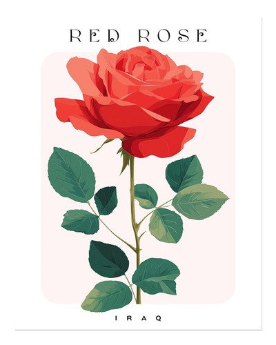 Rote rose wandbild poster - rote,