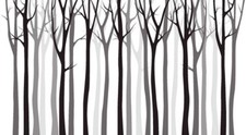 Wandbild: Birkenbaum-hölzerne