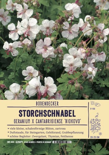 Geranium cantabrigiense