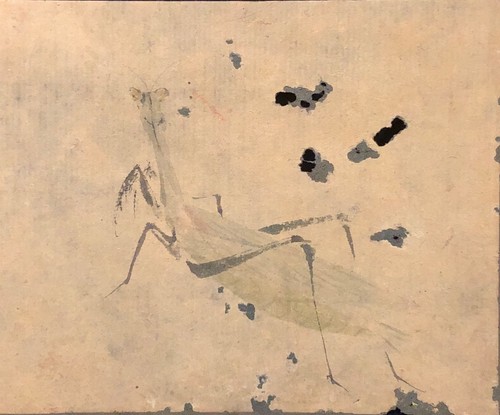 Japan edo jh - japan,