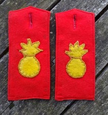 Paar Schulterklappen   Garde