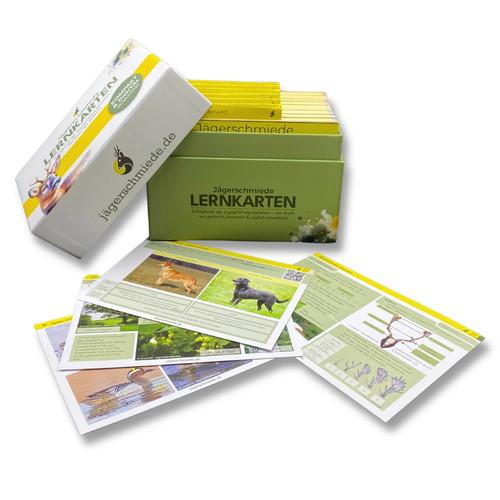 Lernkarten erfolgreich die - lernkarten:,