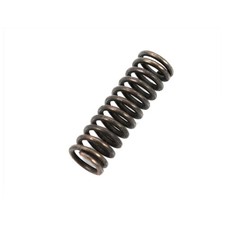 Feder Schaltarretierung