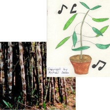 SAMEN EISEN BAMBUS und